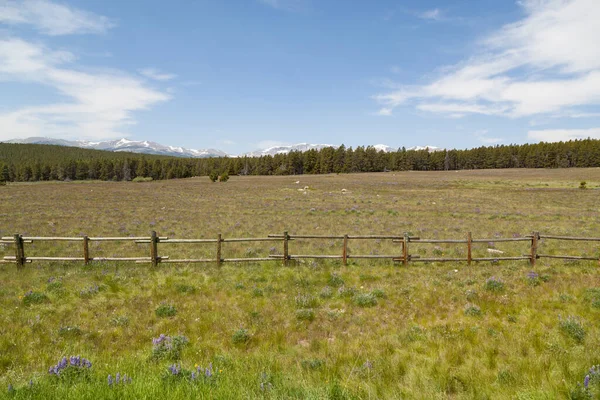 Wyoming Landskap med avlägsna berg — Stockfoto