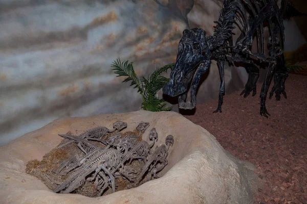 Dinossauro Mãe e Bebês — Fotografia de Stock