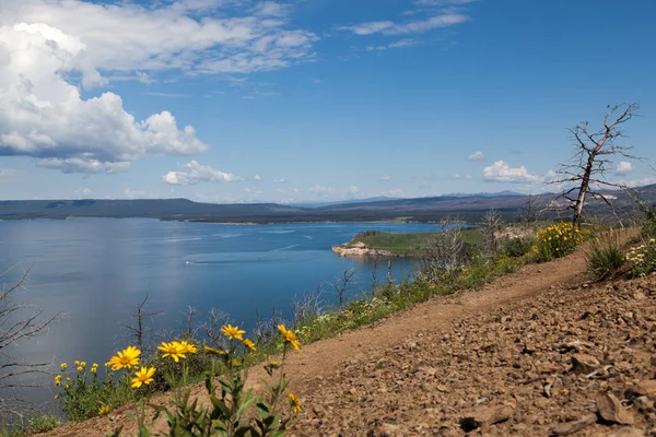 S výhledem na Yellowstonské jezero — Stock fotografie