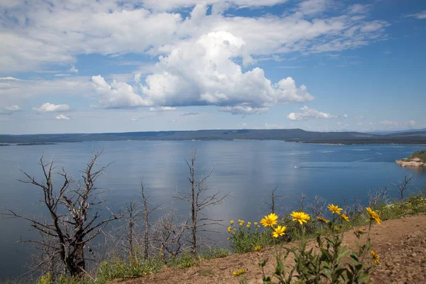 S výhledem na Yellowstonské jezero — Stock fotografie