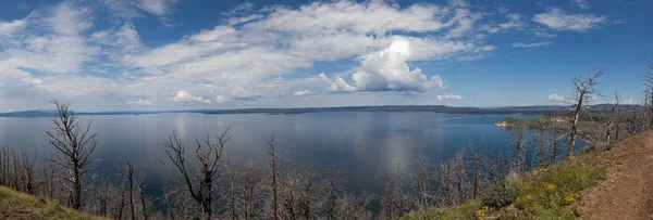Yellowstone Lake Panoramic Overlook — Stock fotografie