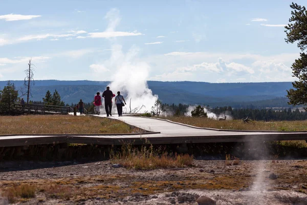 Yellowstone National Park Usa July 2014 Tourists Watch Safety Railed — Stock Photo, Image