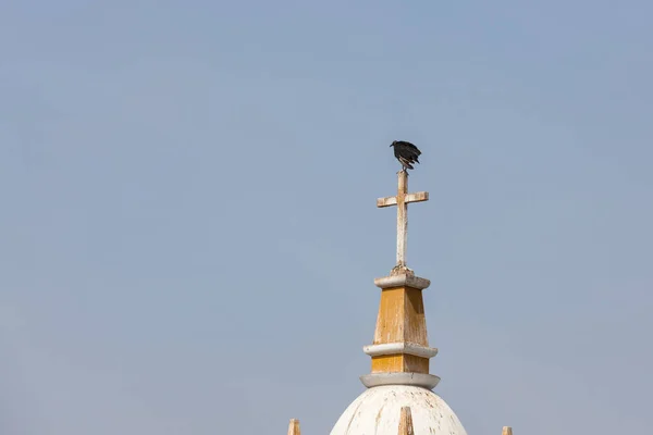 Grande Avvoltoio Nero Appollaiato Una Croce Sul Tetto Una Chiesa — Foto Stock