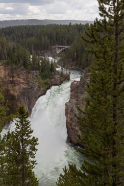 Yellowstone Nehri 'nin yukarısındaki kimliği belirsiz turist ve Wyoming' deki Yellowstone Ulusal Parkı 'ndaki Güney Rim Drive köprüsü..