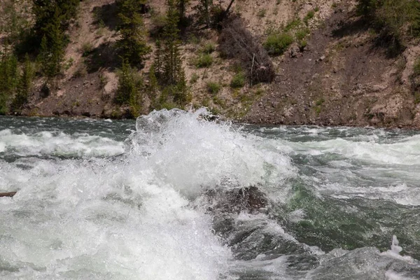 Yellowstone Ulusal Parkı Wyoming Deki Yellowstone Nehri Nin Temiz Sularında — Stok fotoğraf