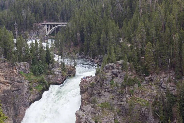 Las Cataratas Superiores Del Río Yellowstone Con Turista Identificable Mirador — Foto de Stock