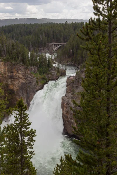 Las Cataratas Superiores Del Río Yellowstone Con Turista Identificable Mirador — Foto de Stock
