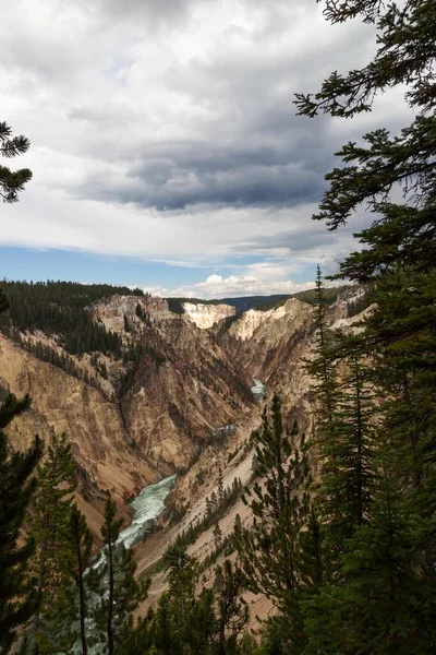 Agua Verde Salvaje Rápida Río Yellowstone Fluye Través Las Empinadas — Foto de Stock