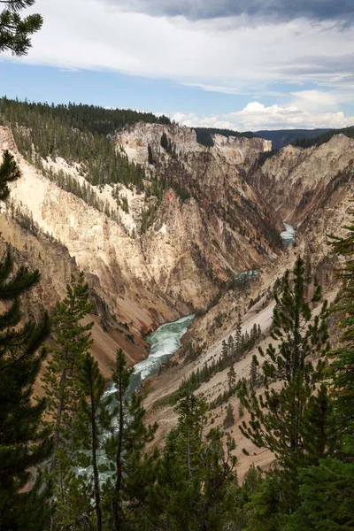Άγριο Και Γρήγορο Πράσινο Νερό Ποταμός Yellowstone Ρέει Μέσα Από — Φωτογραφία Αρχείου