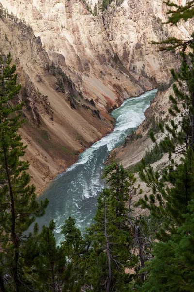 Agua Verde Salvaje Rápida Río Yellowstone Que Fluye Través Las — Foto de Stock
