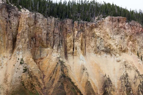 位于怀俄明州黄石公园的黄石公园大峡谷 陡峭的岩壁被长期侵蚀 顶部长满了常绿的树木 — 图库照片