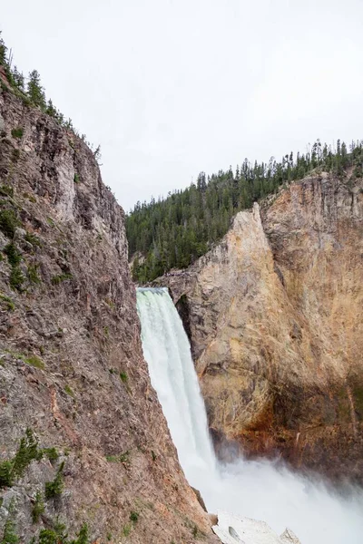 Les Hautes Puissantes Chutes Inférieures Rivière Yellowstone Tombent Dans Canyon — Photo