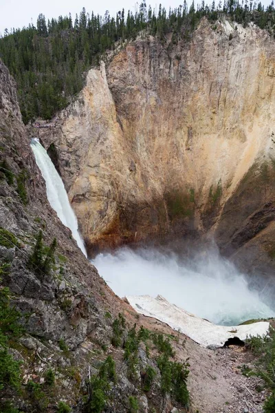 Высокий Мощный Нижний Водопад Реки Йеллоустон Падает Крутой Каньон Неопознаваемыми — стоковое фото