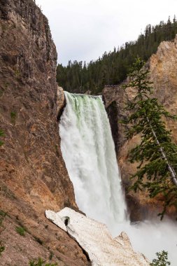 Yellowstone Nehri 'nin yüksek ve güçlü Aşağı Şelaleleri, Wyoming' deki Yellowstone Ulusal Parkı 'nın tepesinde, kimliği belirsiz insanlarla sarp kanyona düşüyor..