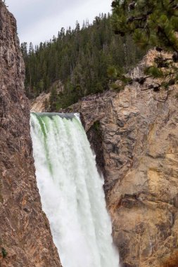 Yellowstone Nehri 'nin yüksek ve güçlü Aşağı Şelaleleri, Wyoming' deki Yellowstone Ulusal Parkı 'nın tepesinde, kimliği belirsiz insanlarla sarp kanyona düşüyor..