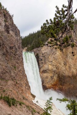 Yellowstone Nehri 'nin yüksek ve güçlü Aşağı Şelaleleri, Wyoming' deki Yellowstone Ulusal Parkı 'nın tepesinde, kimliği belirsiz insanlarla sarp kanyona düşüyor..