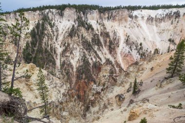 Zamanla aşınan dik kanyon duvarları Yellowstone Ulusal Parkı, Wyoming 'deki Yellowstone Kanyonu' nun Sanatçılar Noktası 'ndaki renkli kayaları ortaya çıkarıyor..