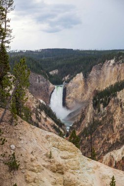 Yellowstone Nehri 'nin yüksek ve güçlü Aşağı Şelalesi Wyoming' deki Yellowstone Ulusal Parkı 'ndaki Sanatçılar Noktasından görüldüğü gibi dik kanyona düşüyor..