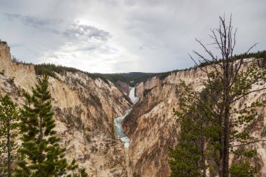 Yellowstone Nehri 'nin yüksek ve güçlü Aşağı Şelalesi Wyoming' deki Yellowstone Ulusal Parkı 'ndaki Sanatçılar Noktasından görüldüğü gibi dik kanyona düşüyor. Yellowstone Ulusal Parkı, Wyoming.