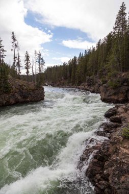 Yellowstone Irmağı Yellowstone Ulusal Parkı, Wyoming 'deki Lower Falls' un üzerine düşmeye başlıyor..