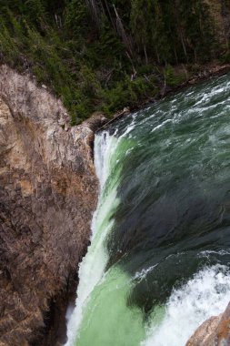 Yellowstone Nehri 'ndeki Lower Falls' un tepesinde yeşil su Yellowstone Ulusal Parkı, Wyoming 'deki bir uçurumdan hızla düşüyor..