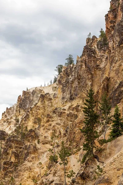 Стіни Скель Які Були Зруйновані Плином Часу Увінчані Вічнозеленими Деревами — стокове фото