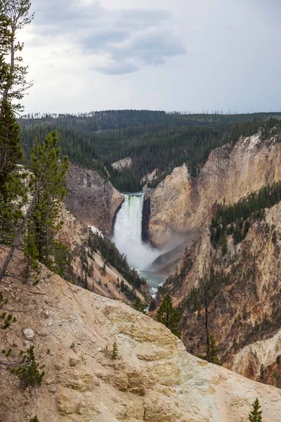 Wysoki Mocny Dolny Falls Yellowstone Rzeki Jak Wpada Stromego Kanionu — Zdjęcie stockowe