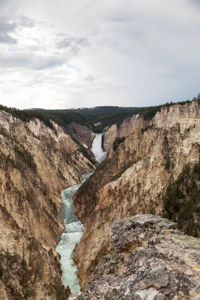 Tall Powerful Lower Falls Yellowstone River Falls Steep Canyon Seen — Stock Photo, Image