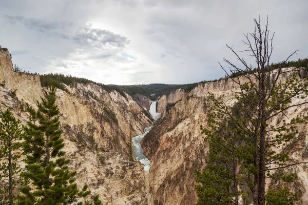 Las Altas Poderosas Cataratas Inferiores Del Río Yellowstone Caer Empinado — Foto de Stock