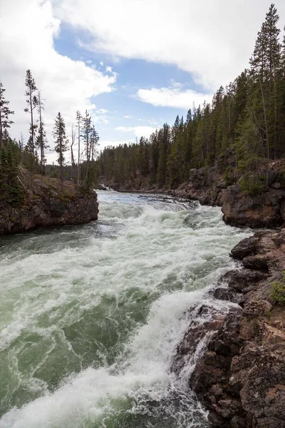 Wild Yellowstone River Starts Drop Directly Lower Falls Yellowstone National — Stock Photo, Image