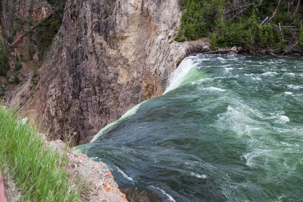 Yellowstone Nehri Ndeki Lower Falls Tepesinde Yeşil Keskin Bir Şekilde — Stok fotoğraf