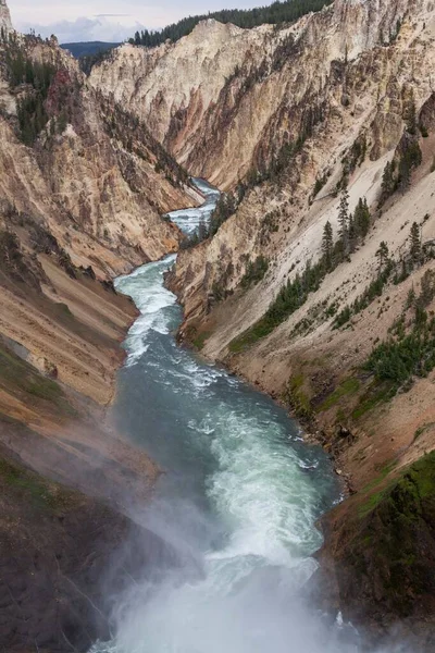 Mirando Por Río Yellowstone Desde Cima Lower Falls Mientras Sube — Foto de Stock