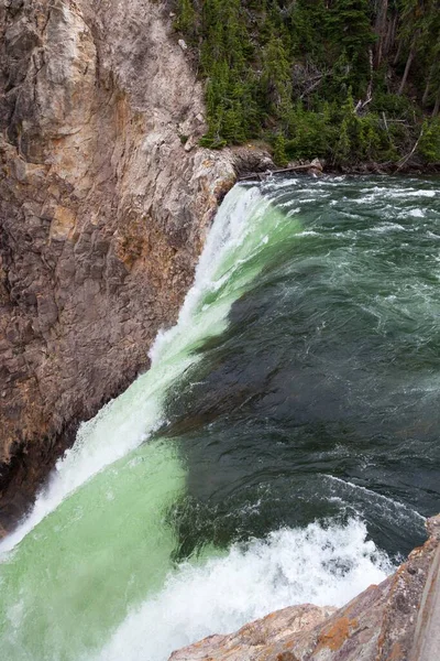 Yellowstone Nehri Ndeki Lower Falls Tepesinde Yeşil Yellowstone Ulusal Parkı — Stok fotoğraf