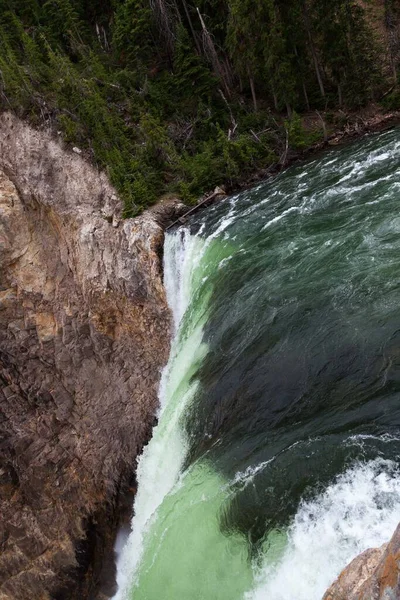 Вершина Нижнего Водопада Реке Йеллоустон Зеленая Вода Резко Падает Скалы — стоковое фото