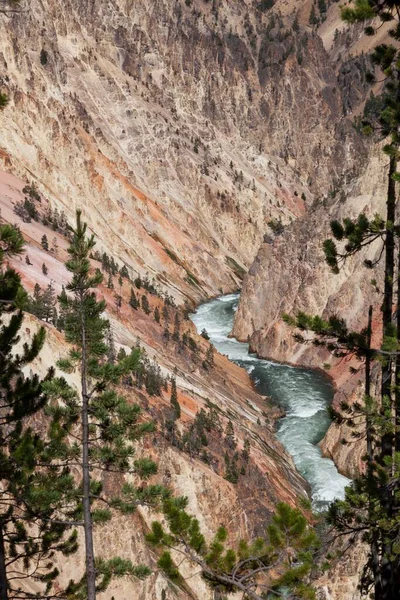 野生で速い緑の水イエローストーン川は ワイオミング州イエローストーン国立公園のイエローストーンのグランドキャニオンのカラフルな急な岩壁を流れています — ストック写真