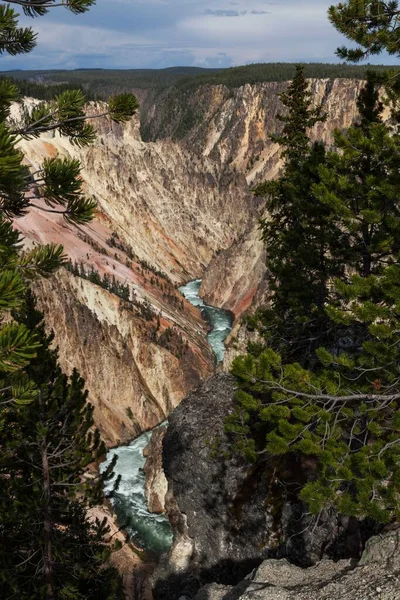 Agua Verde Salvaje Rápida Río Yellowstone Que Fluye Través Las — Foto de Stock
