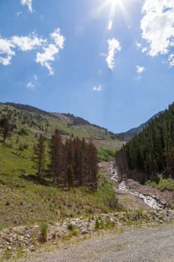 A small creek from snow melt running past a group of tall evergreen trees in the mountains of Montana with sun rays against a blue sky. clipart