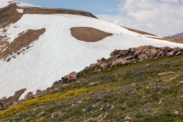 Neidentifikovatelný Muž Kráčející Příkré Hoře Snowboard Zbylém Letním Sněhu Podél — Stock fotografie