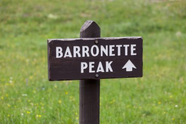 Wyoming 'deki Yellowstone Ulusal Parkı' nda Barronette tepesinin hangi yönde olduğunu gösteren küçük tahta bir tabela..