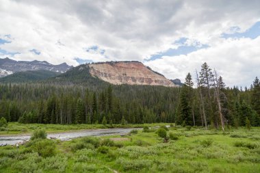 Sakin Soda Butte Deresi açık bir alanda Baronette Tepesi 'nin yanındaki ormana ve Yellowstone Ulusal Parkı, Wyoming' deki dağların çevresine akıyor..