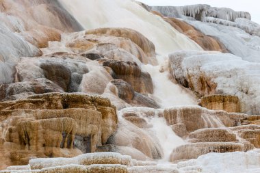Mamut Kaplıcaları 'nın terasları, suyun aktığı yerlerde parlak renkli bakteriler ve Yellowstone Ulusal Parkı, Wyoming' deki kuru bölgelerde beyaz ve siyah yüzeyler..