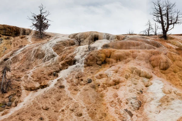 Travertijn Terrassen Bij Mammoet Hot Springs Creëren Een Buitenaards Landschap — Stockfoto