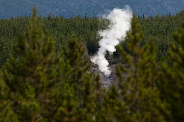 Large Cloud Hot Steam Rising Forest Tree Line Out Hole — Stock Photo, Image