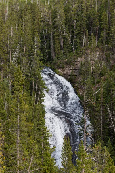 Une Belle Cascade Dans Rivière Firehole Travers Une Forêt Dense — Photo