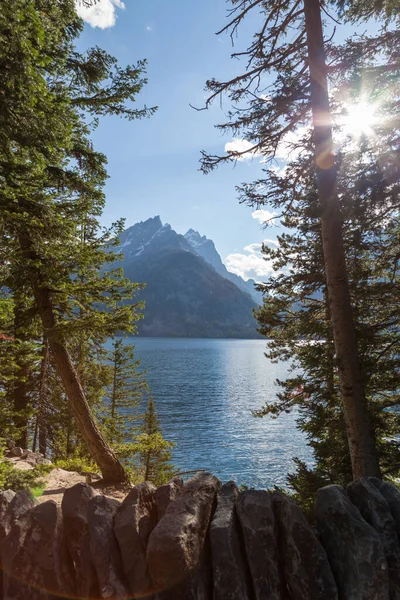 Titta Jenny Lake Genom Höga Vintergröna Träd Och Kikande Solsken — Stockfoto