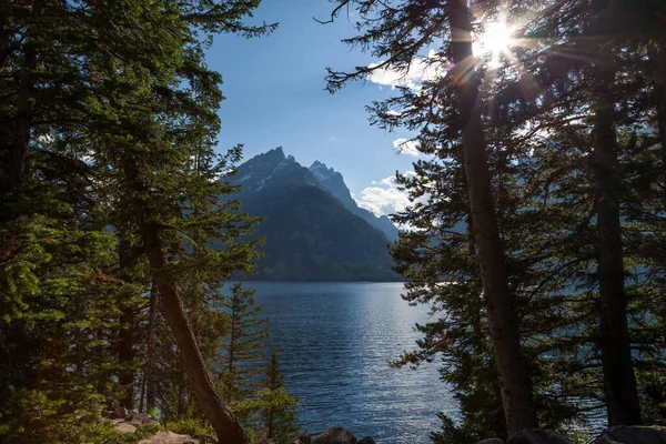 Nézi Jenny Lake Keresztül Magas Örökzöld Fák Kukucskáló Napsugarak Távoli — Stock Fotó