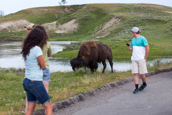 Parque Nacional Yellowstone Julio 2014 Grupo Turistas Una Zona Pavimentada — Foto de Stock