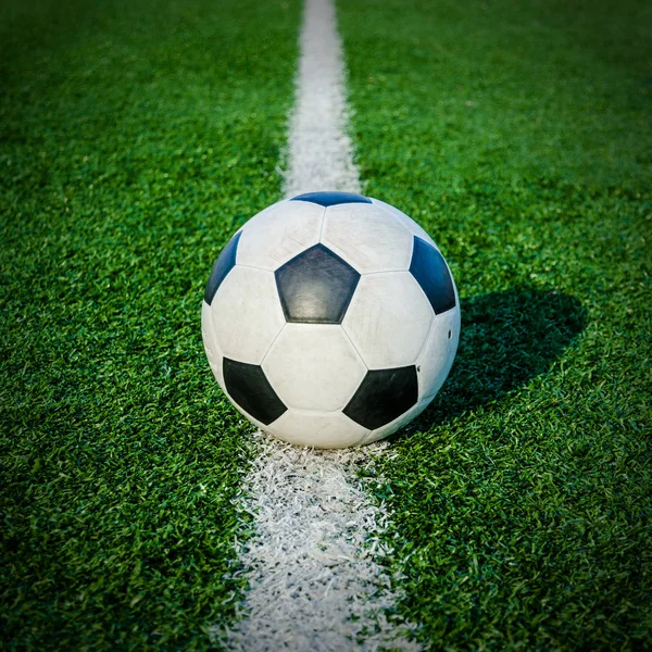 Futbol futbol futbol sahası yeşil çimenlerin üzerinde.