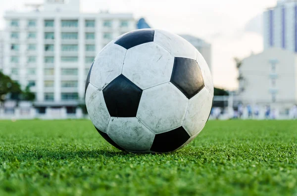 Futbol futbol futbol sahası yeşil çimenlerin üzerinde.