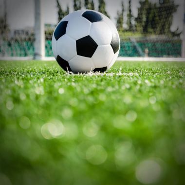 Futbol futbol futbol sahası yeşil çimenlerin üzerinde.